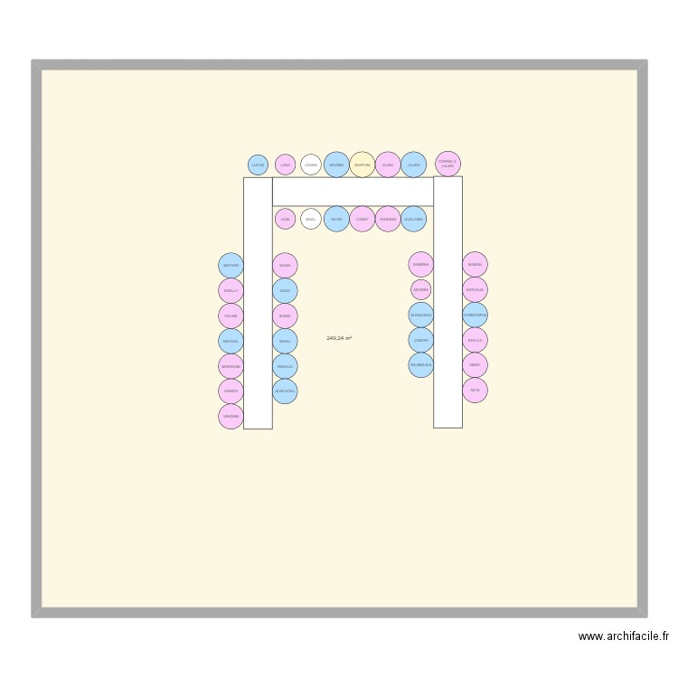 plan de table anniversaire. Plan de 1 pièce et 249 m2