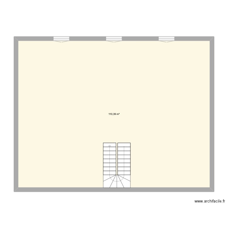 combles. Plan de 1 pièce et 110 m2