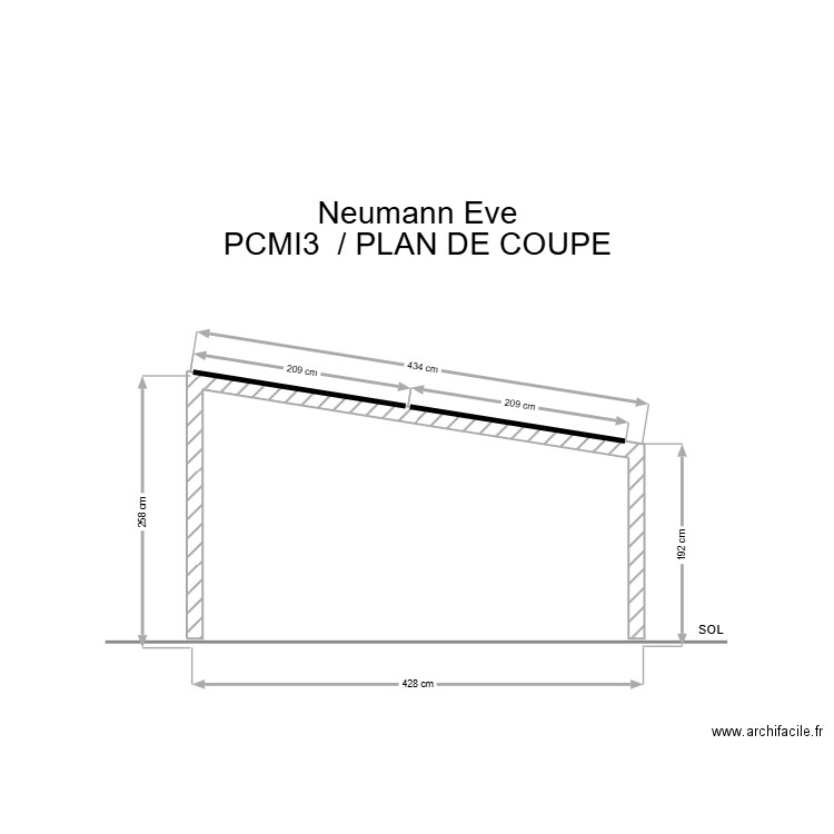 neumann plan de coupe. Plan de 0 pièce et 0 m2