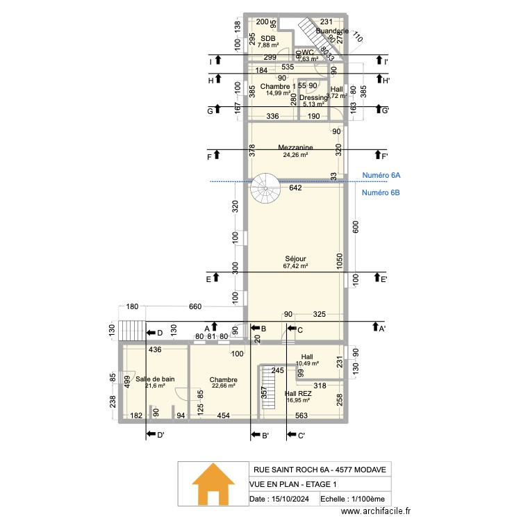 V.RADOUX - VUE EN PLAN - ETAGE 1 - 1/100 - V2.15 - 20241015. Plan de 12 pièces et 200 m2