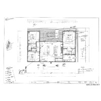 Plan puunui 2