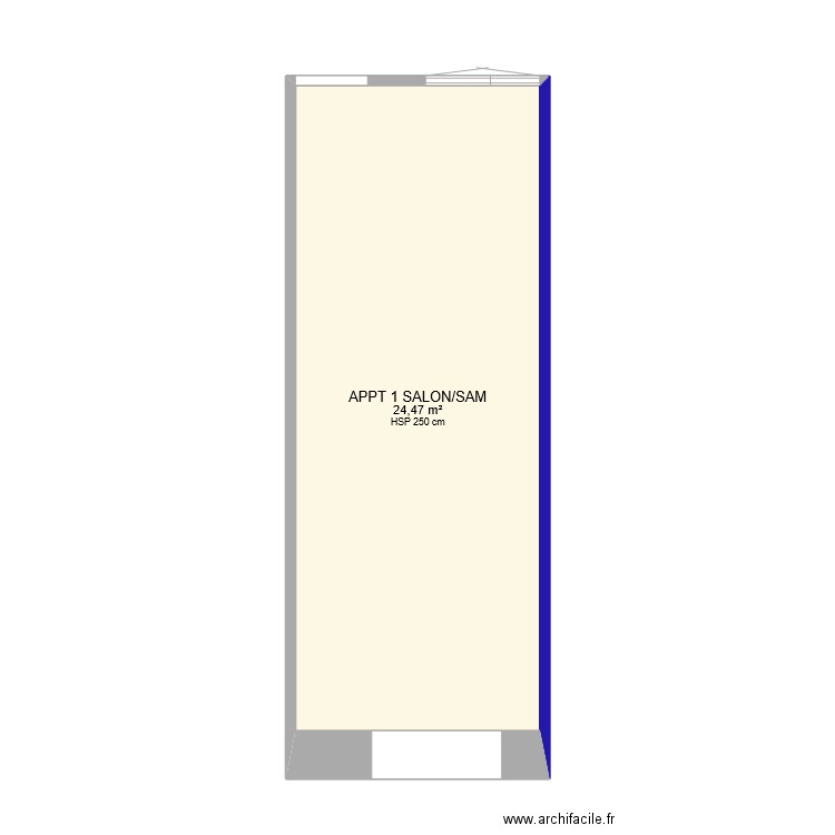 APPT 1 SALON/SAM. Plan de 1 pièce et 24 m2