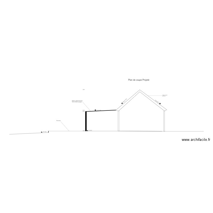 Plan de coupe projeté . Plan de 0 pièce et 0 m2