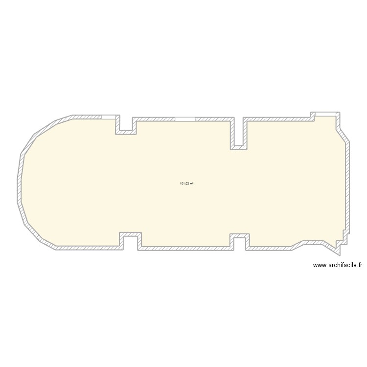 carbon_blan_V1. Plan de 1 pièce et 101 m2