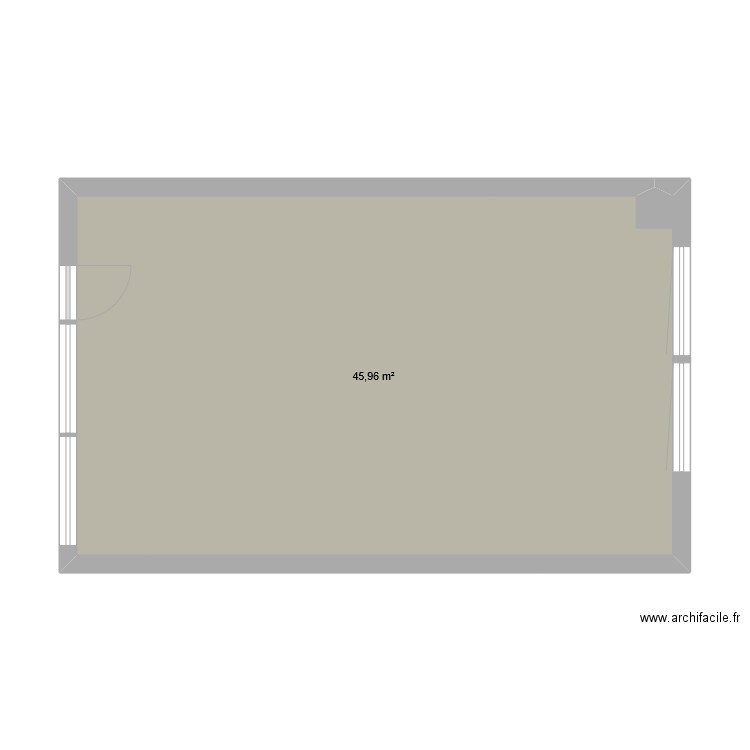 lab. Plan de 1 pièce et 46 m2