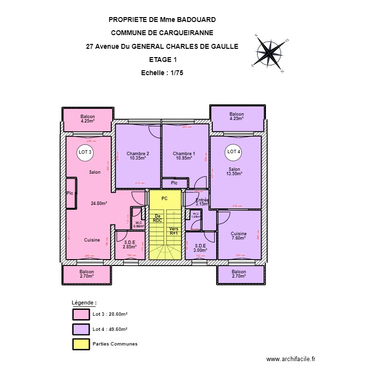 BADOUARD ETAGE 1. Plan de 20 pièces et 102 m2