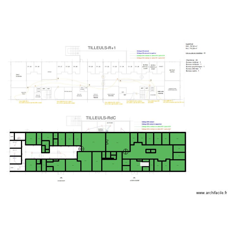 TILLEULS RDC. Plan de 41 pièces et 301 m2