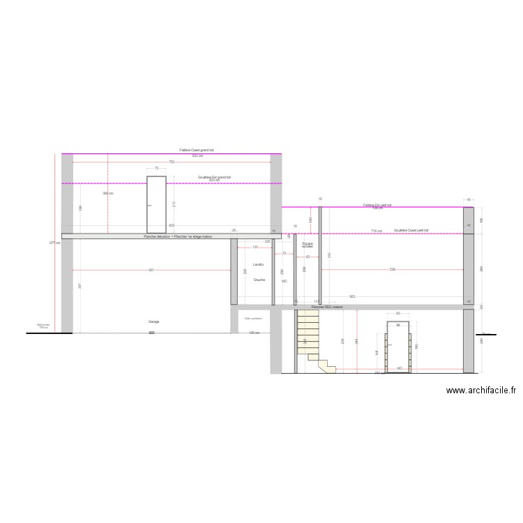 Projet RDF_Coupe Extension_4_avec escalier cave. Plan de 0 pièce et 0 m2