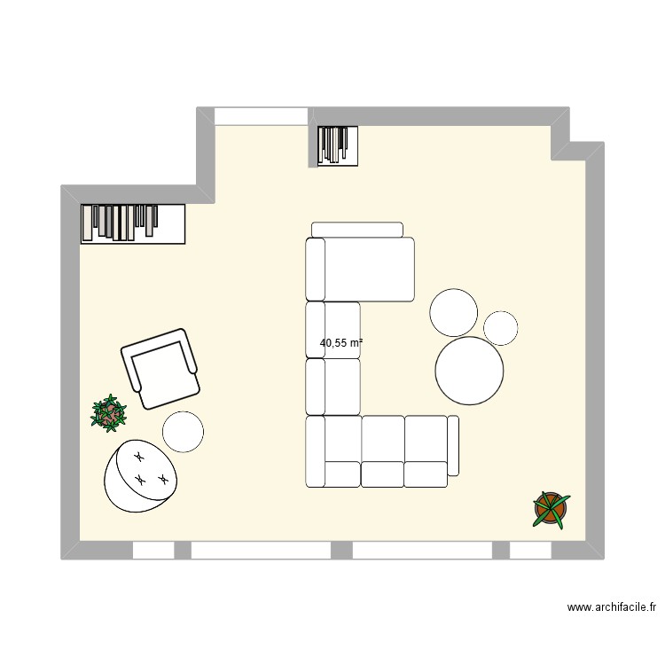 salon. Plan de 1 pièce et 41 m2